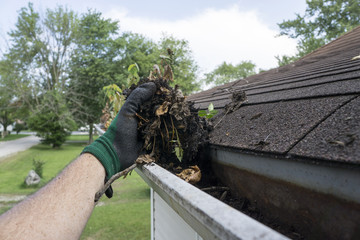 Why Professional Gutter Cleaning Is Necessary