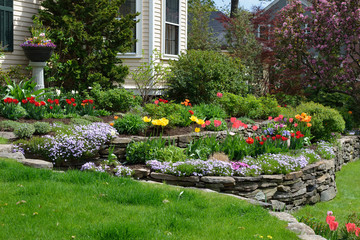 Landscaping – A Powerful Way to Increase Your Home’s Curb Appeal and Elevate Your Home’s Value